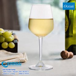 Ly rượu vang lexington white wine dung tích 240ml