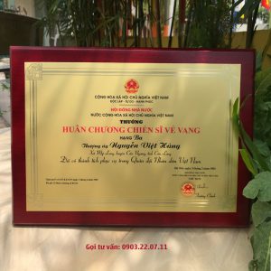 Mẫu Huân chương chiến sĩ vẻ vang